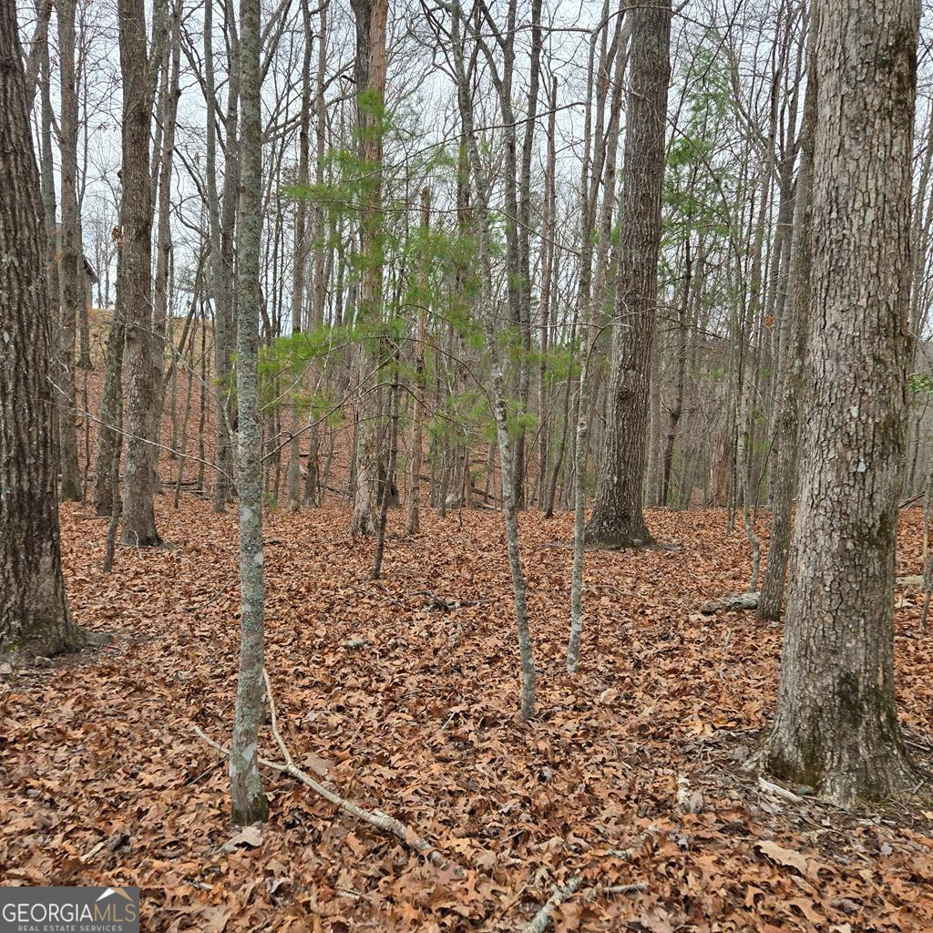 8.5 Blue Berry Ridge Property Photo 26