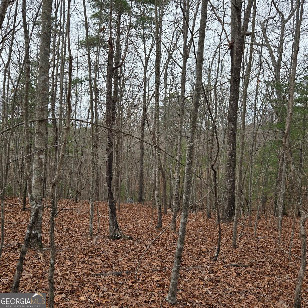 8.5 Blue Berry Ridge Property Photo 27