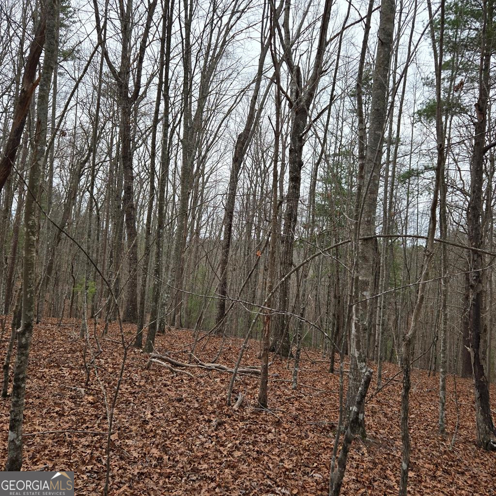 8.5 Blue Berry Ridge Property Photo 28