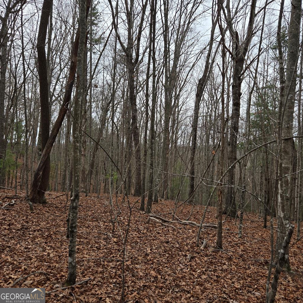 8.5 Blue Berry Ridge Property Photo 29
