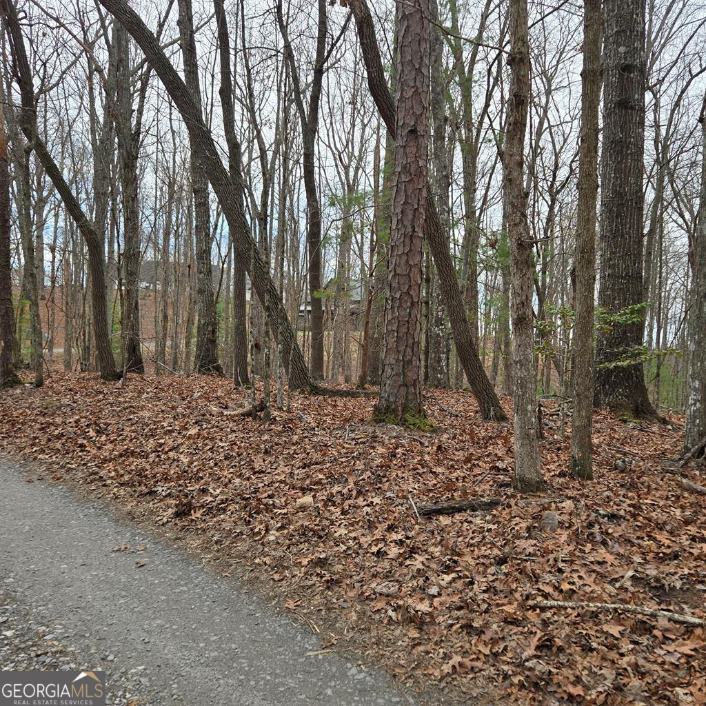 8.5 Blue Berry Ridge Property Photo 30