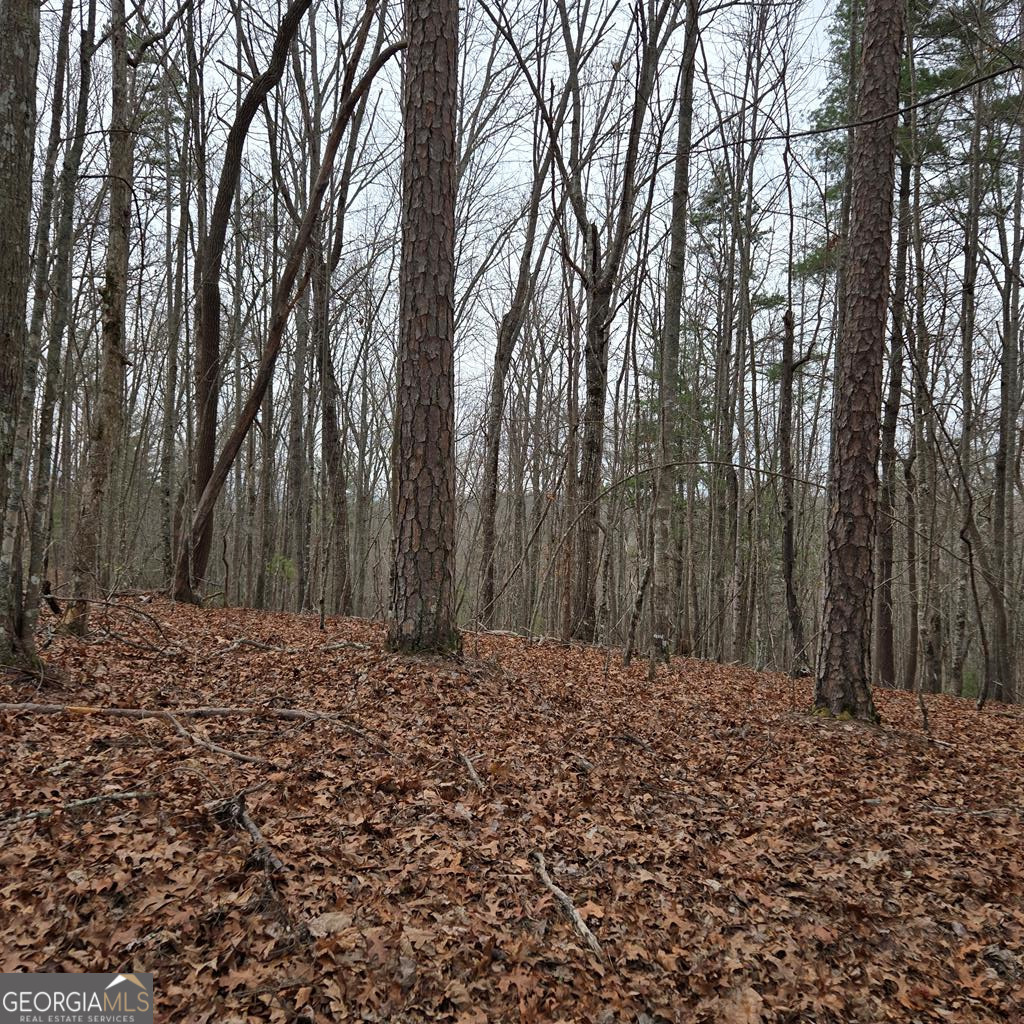 8.5 Blue Berry Ridge Property Photo 31
