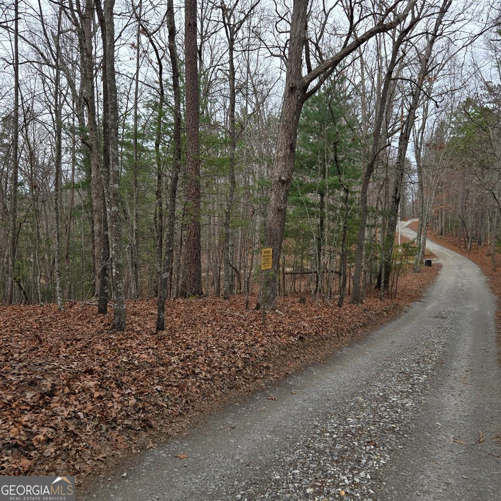 8.5 Blue Berry Ridge Property Photo 32