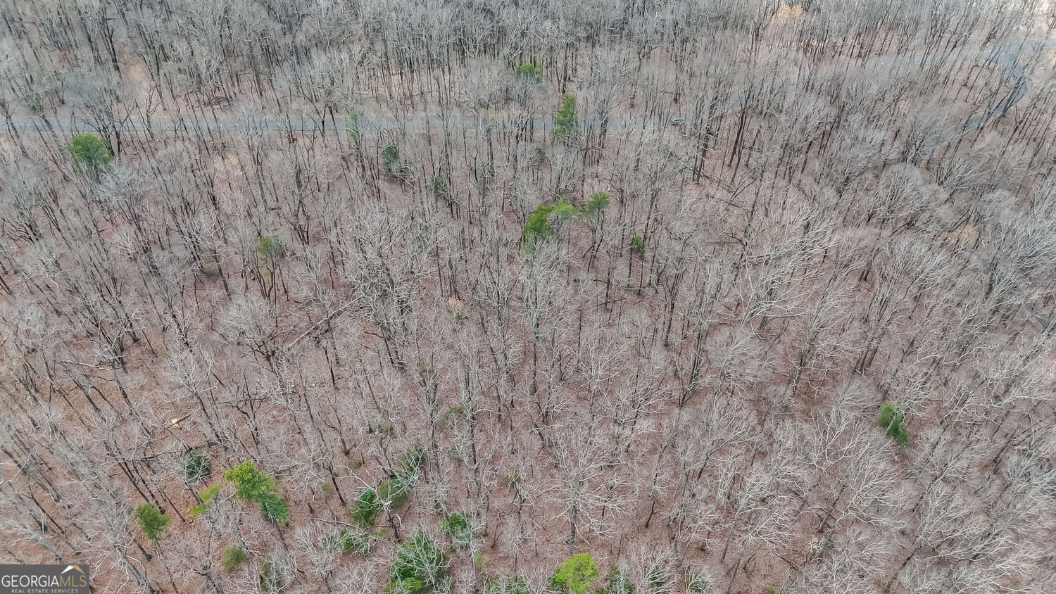 22 Andes Ridge Property Photo 7