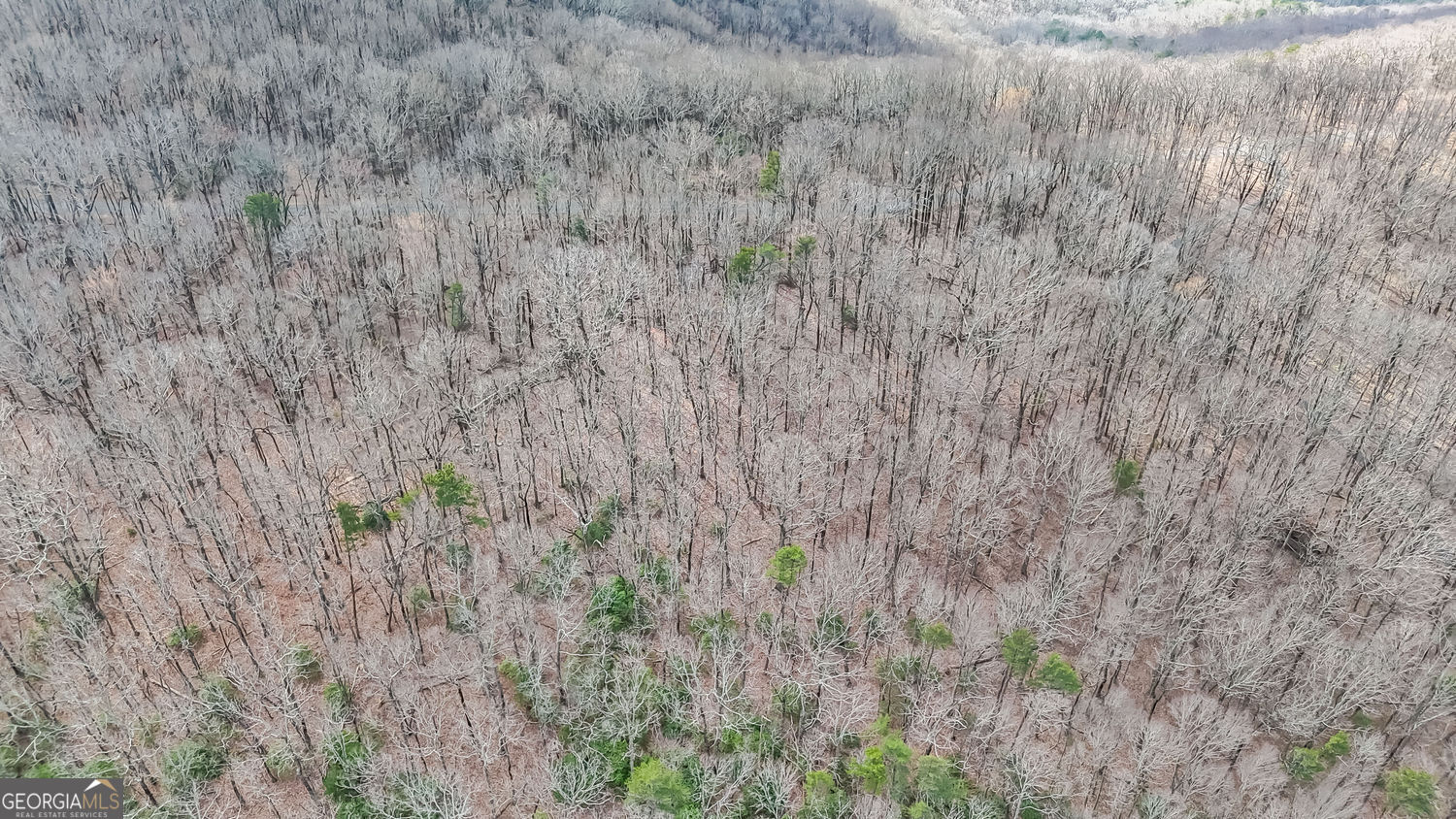 22 Andes Ridge Property Photo 9