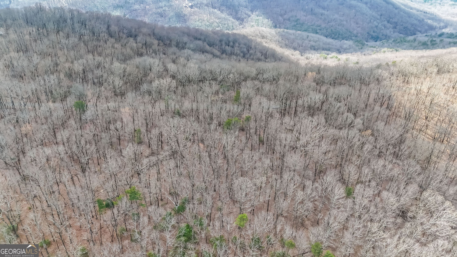 22 Andes Ridge Property Photo 10