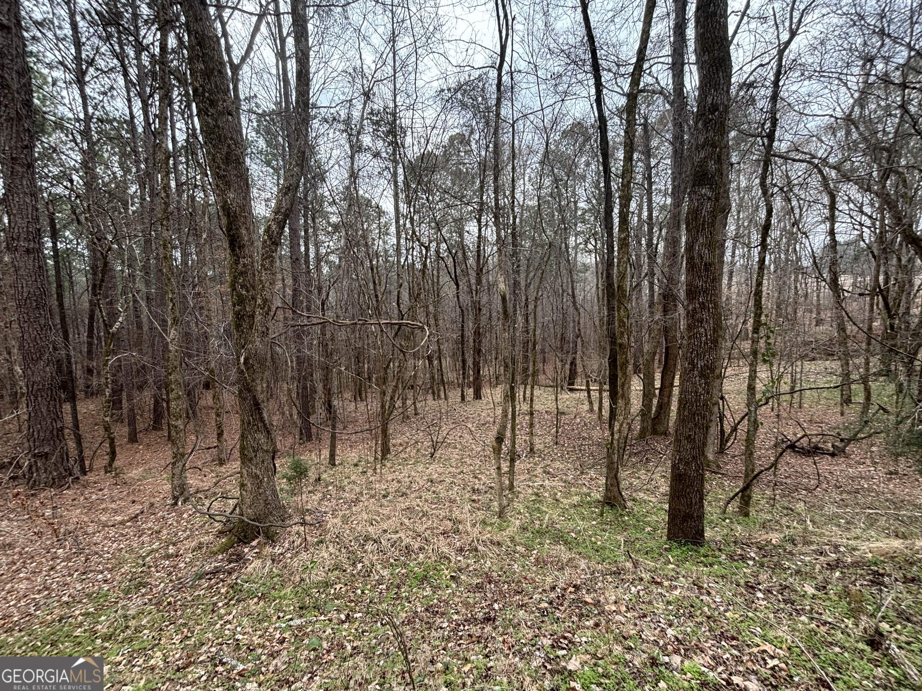 0 Oconee Rd Lot 3 Property Photo 1