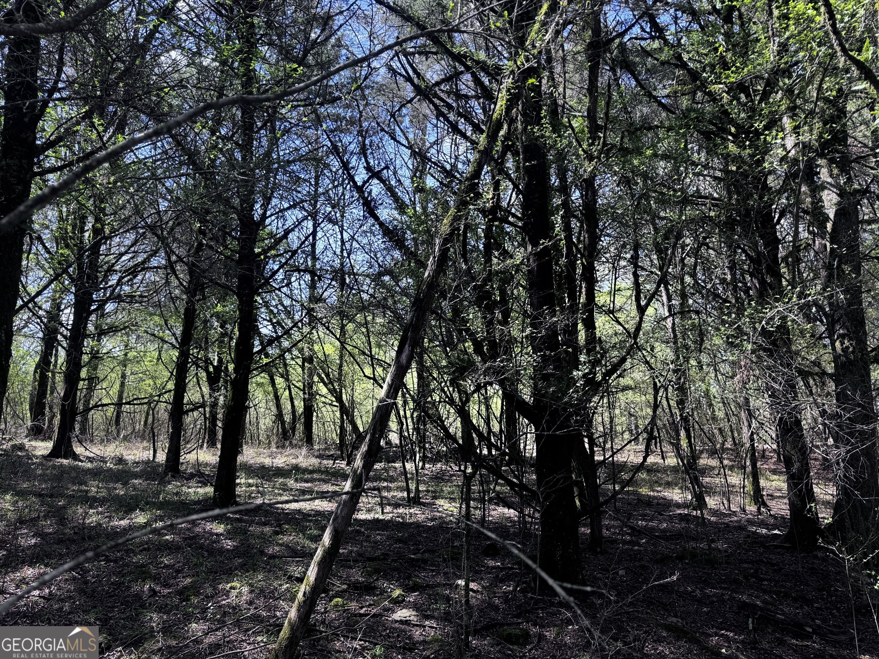 2782 Smith Road Property Photo 2
