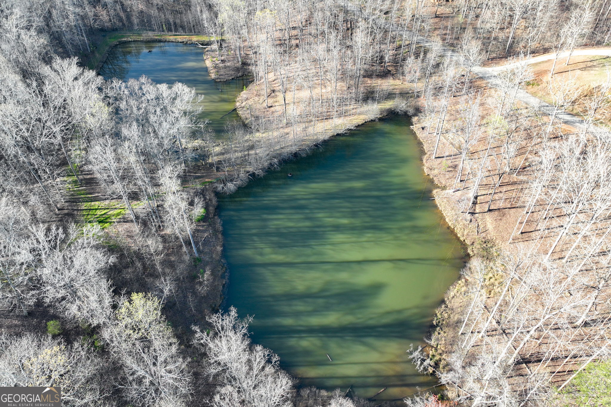 Lot 21 Long Mountain Trail Property Photo 6