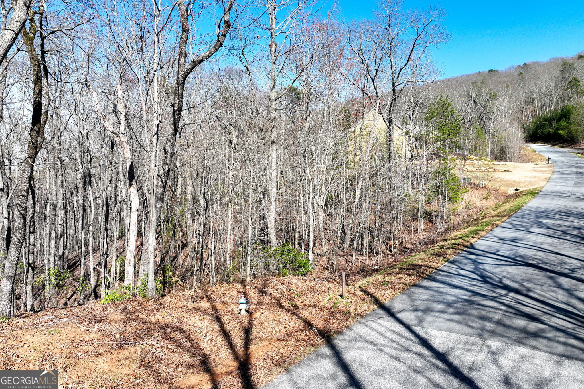 Lot 21 Long Mountain Trail Property Photo 11