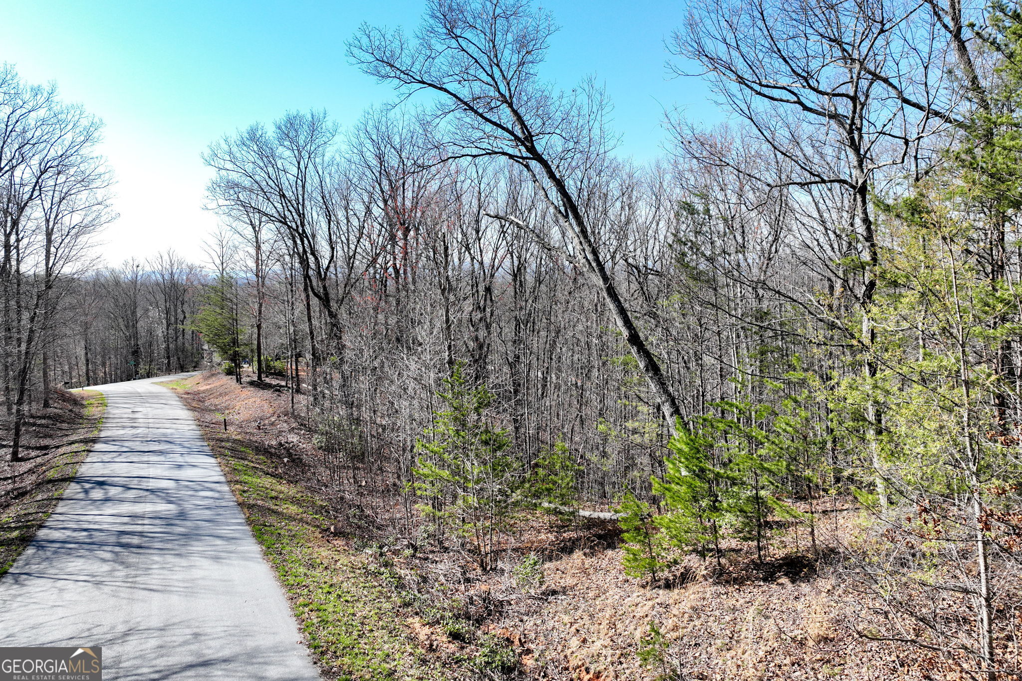 Lot 21 Long Mountain Trail Property Photo 12