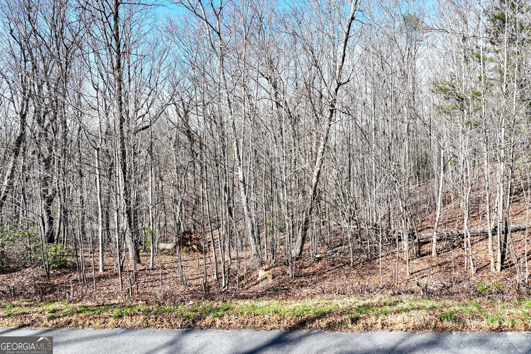 Lot 21 Long Mountain Trail Property Photo 13