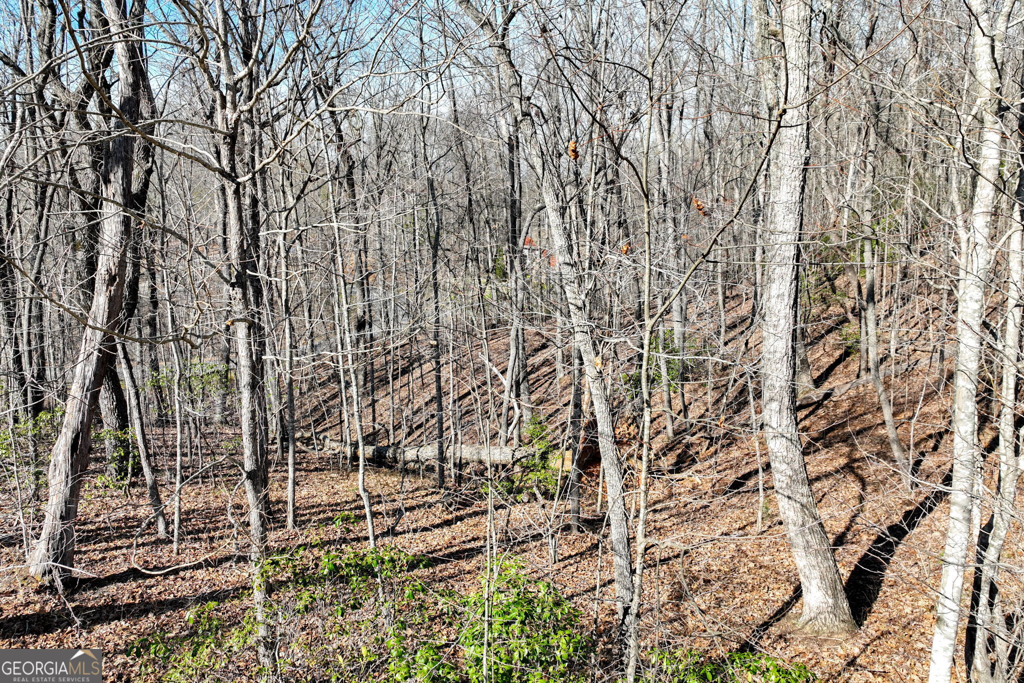 Lot 21 Long Mountain Trail Property Photo 14