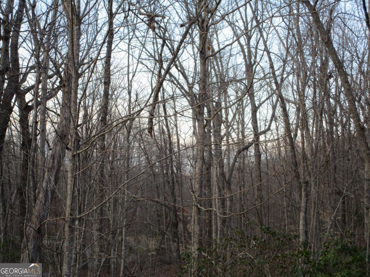 Lot 21 Long Mountain Trail Property Photo 28
