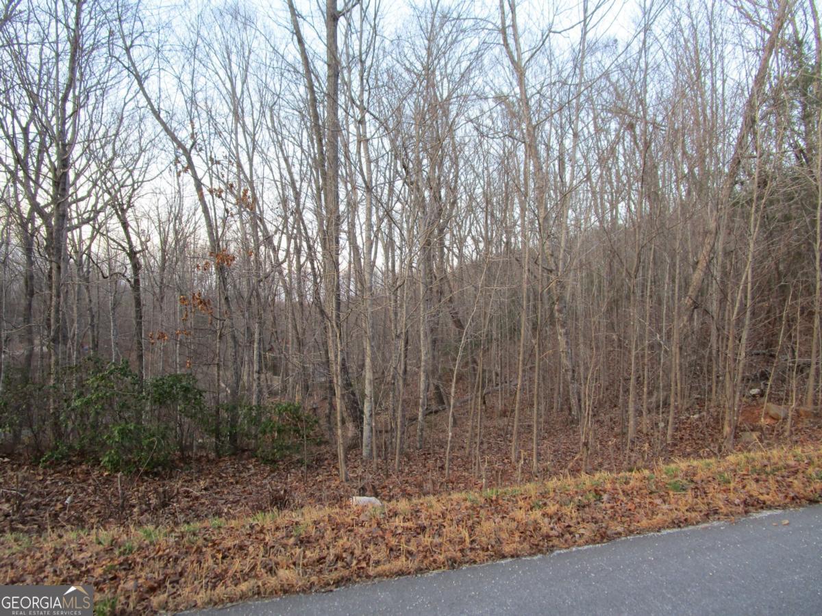 Lot 21 Long Mountain Trail Property Photo 29