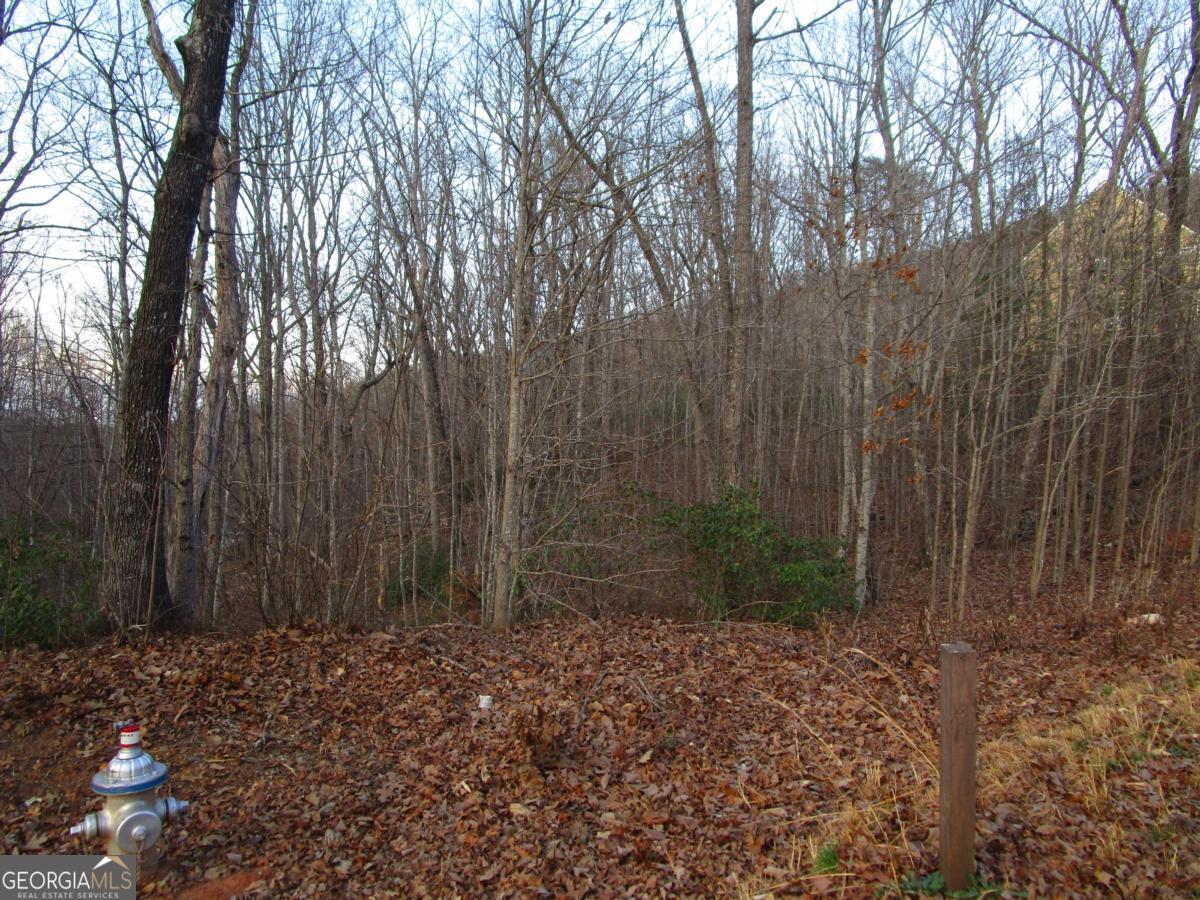 Lot 21 Long Mountain Trail Property Photo 30