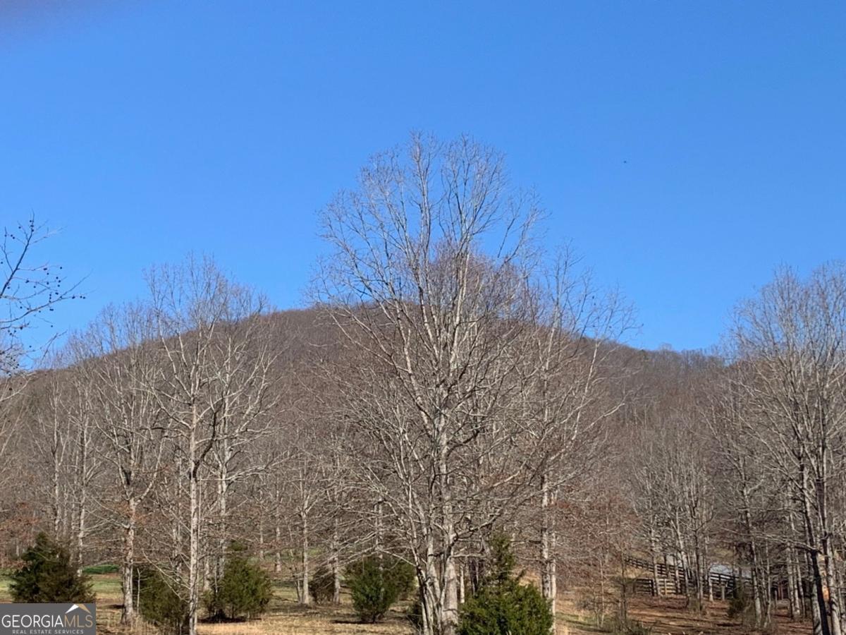 Lot 21 Long Mountain Trail Property Photo 31