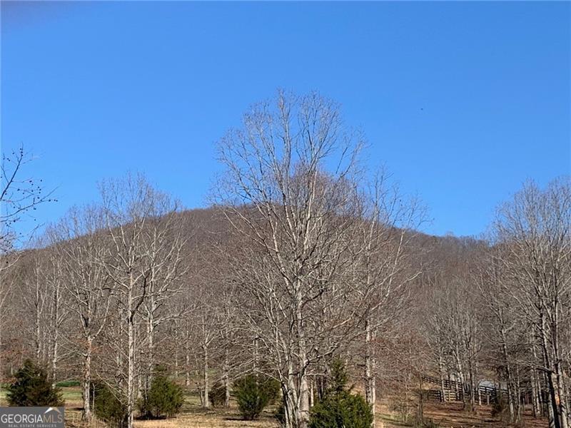 Lot 24 Long Mountain Trail Property Photo 3