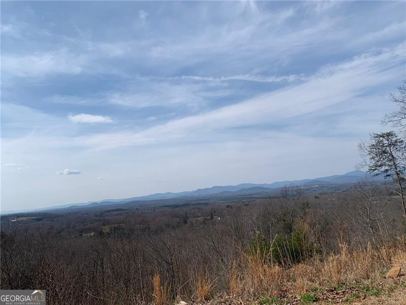 Lot 24 Long Mountain Trail Property Photo 4