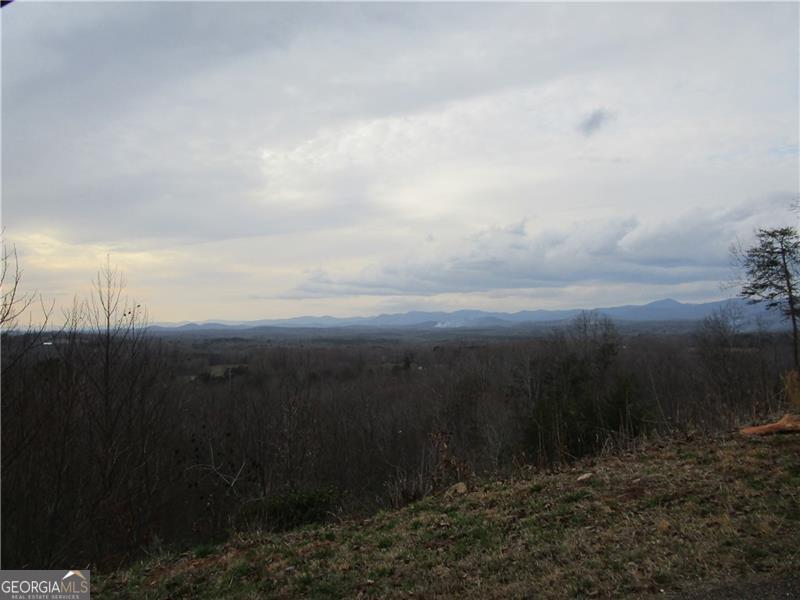 Lot 24 Long Mountain Trail Property Photo 5