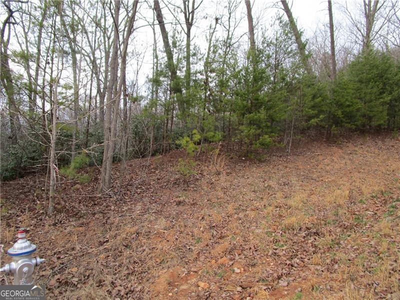 Lot 24 Long Mountain Trail Property Photo 6