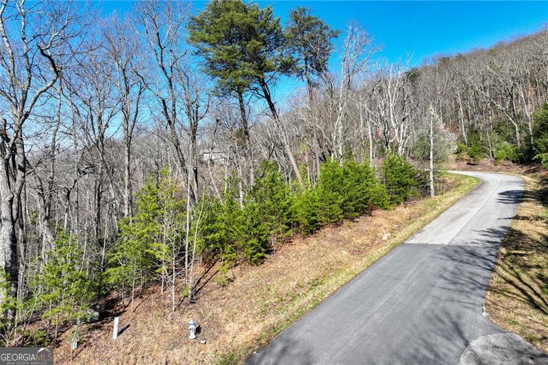 Lot 24 Long Mountain Trail Property Photo 17