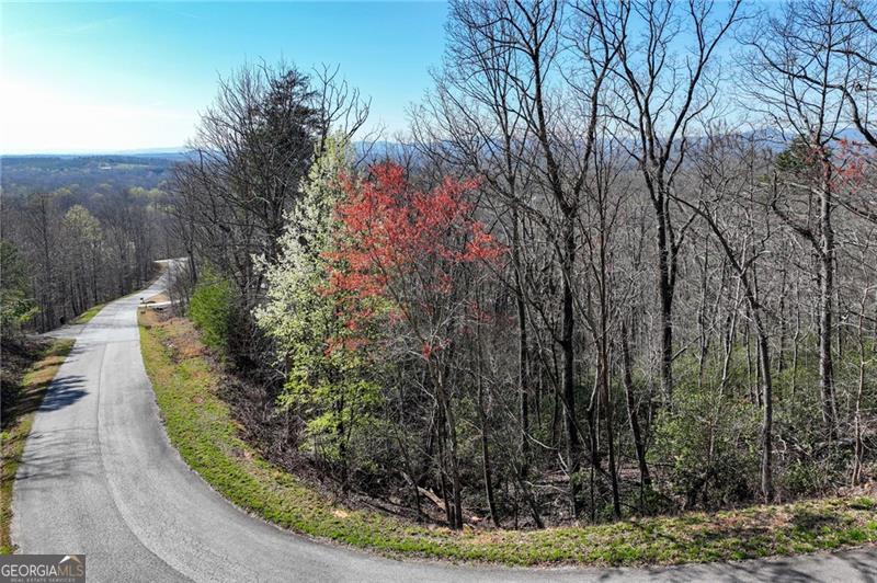 Lot 24 Long Mountain Trail Property Photo 19