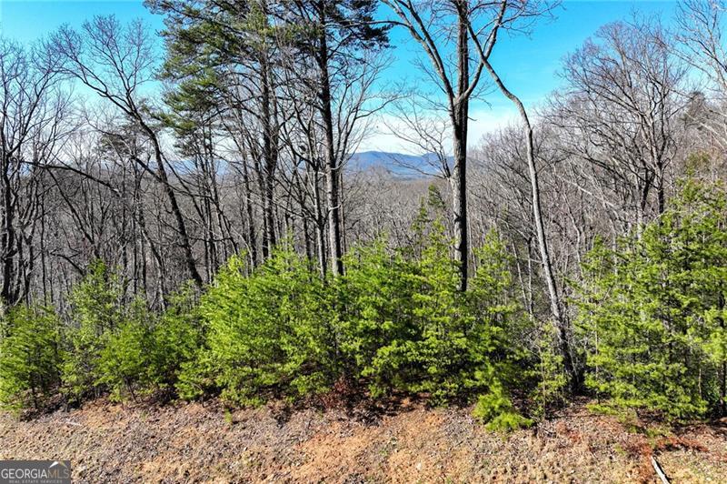 Lot 24 Long Mountain Trail Property Photo 21