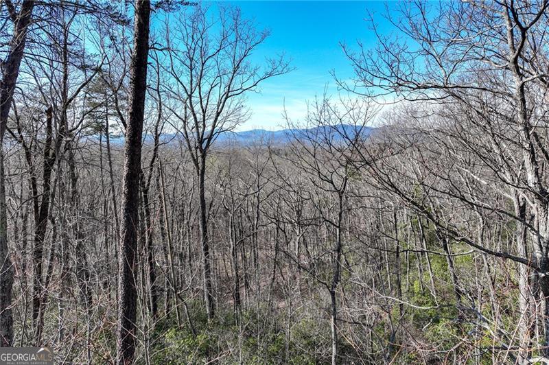 Lot 24 Long Mountain Trail Property Photo 22