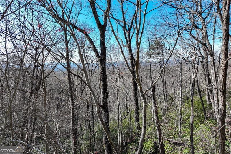 Lot 24 Long Mountain Trail Property Photo 38