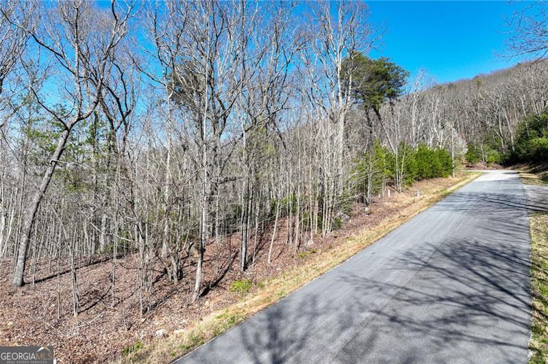 Lot 23 Long Mountain Trail Property Photo 14