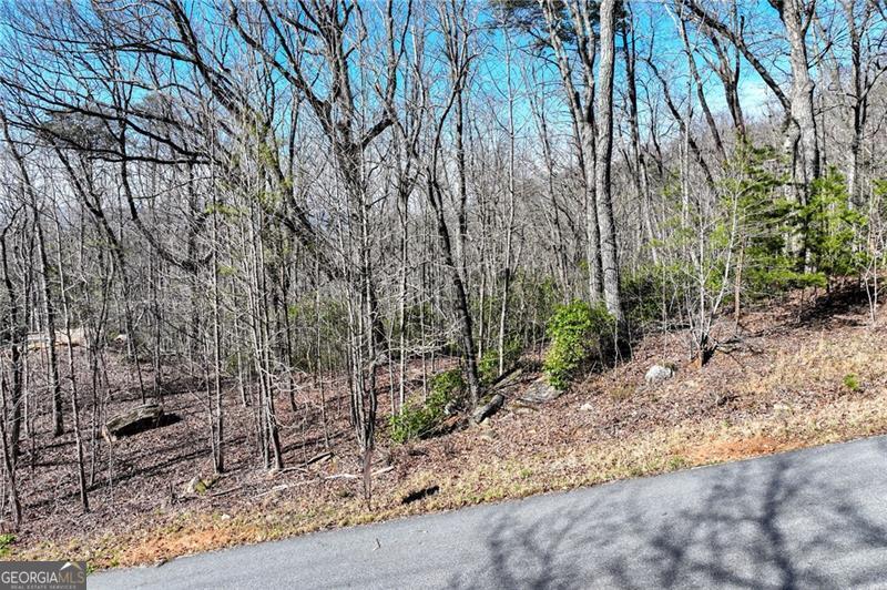 Lot 23 Long Mountain Trail Property Photo 16