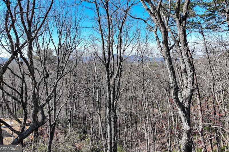 Lot 23 Long Mountain Trail Property Photo 33