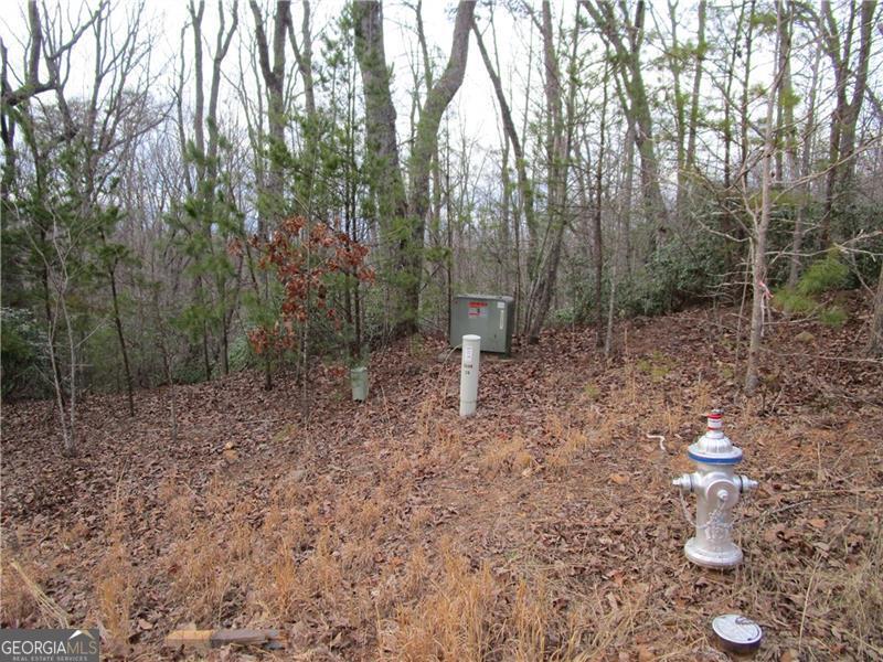 Lot 23 Long Mountain Trail Property Photo 34