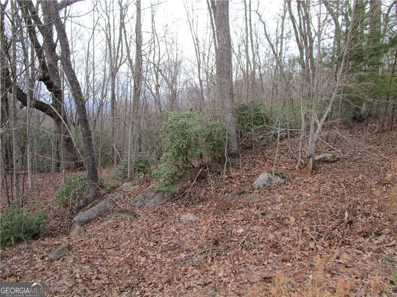 Lot 23 Long Mountain Trail Property Photo 35