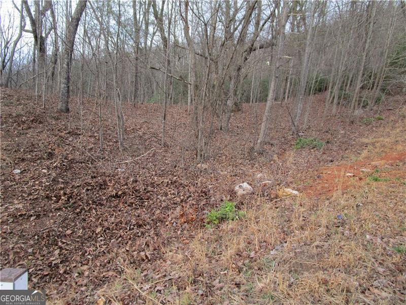 Lot 23 Long Mountain Trail Property Photo 37