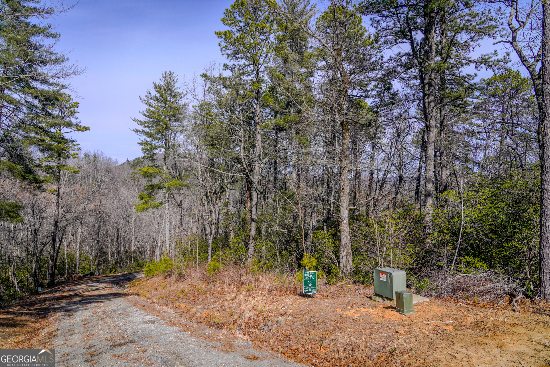 0 Ivy Ridge Way Lot 39 Property Photo 1