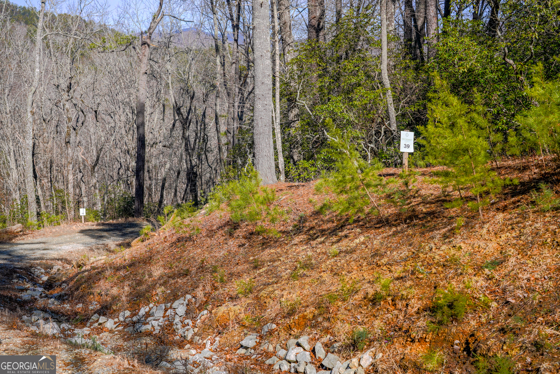 0 Ivy Ridge Way Lot 39 Property Photo 2