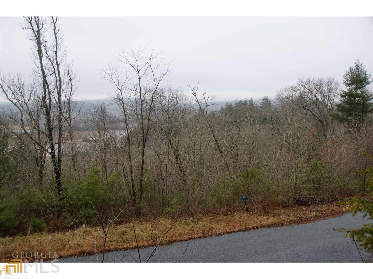 0 Lot 35 Winter Court # 35 Property Photo 12