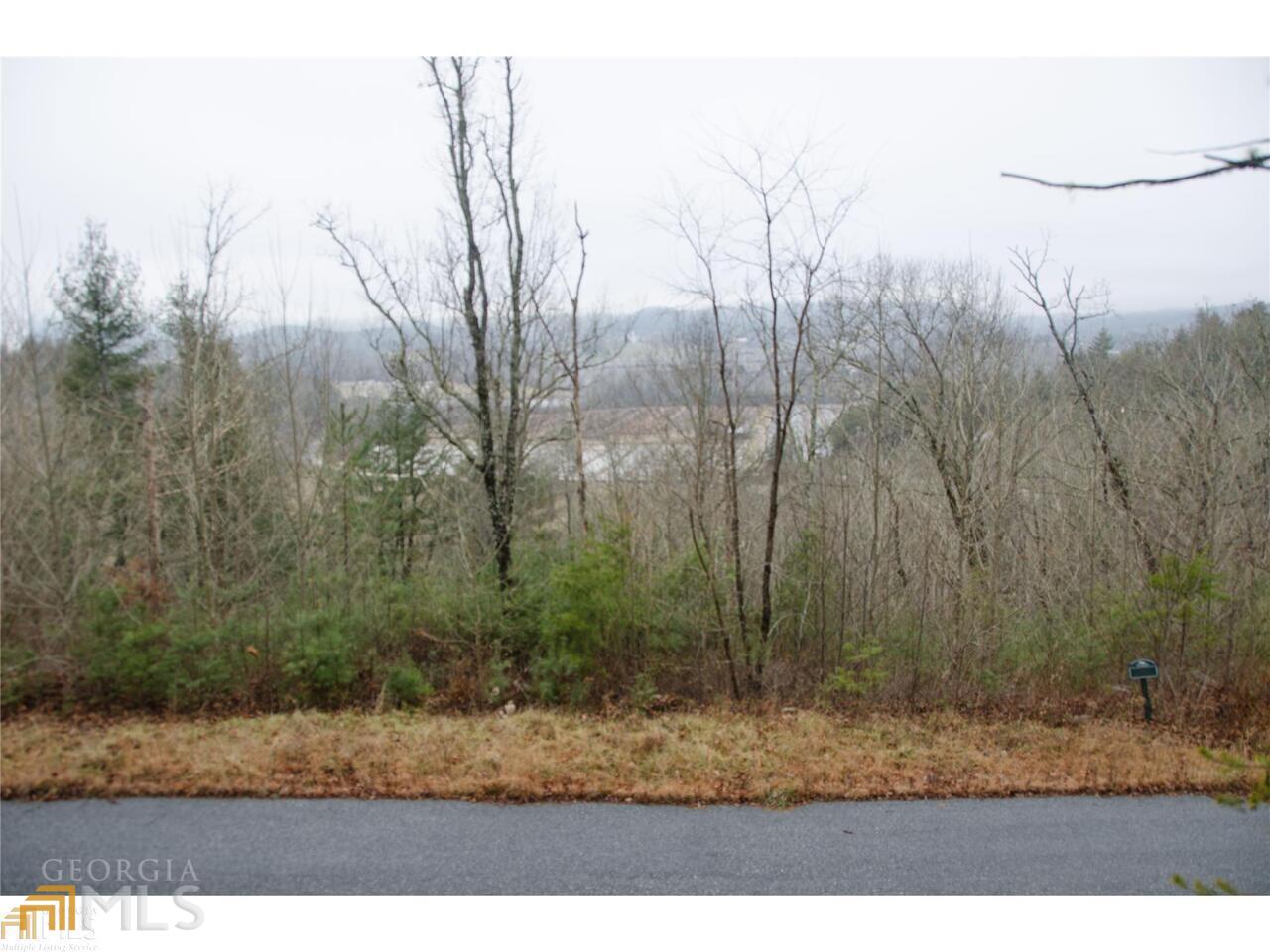 0 Lot 35 Winter Court # 35 Property Photo 13