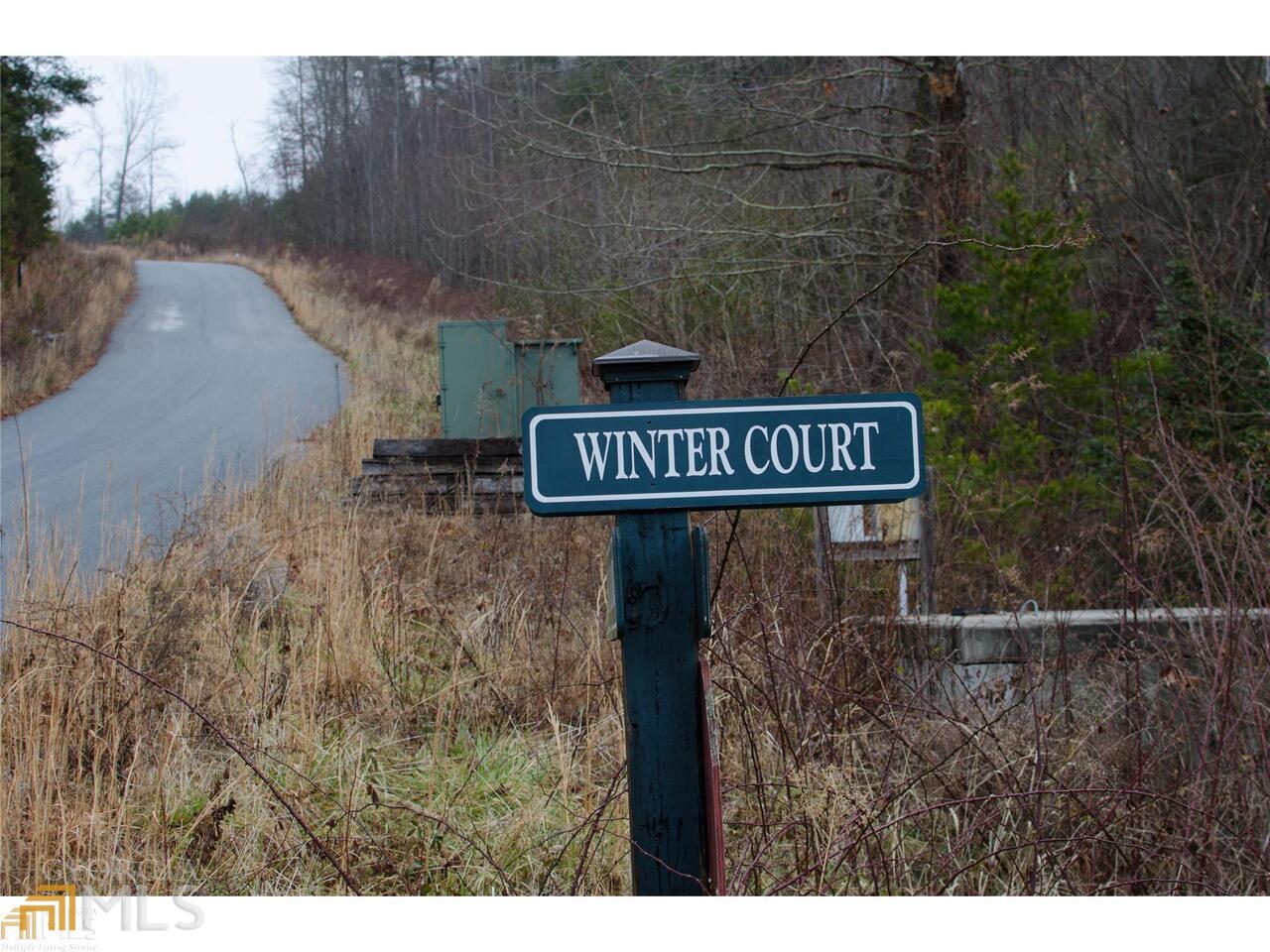 0 Lot 35 Winter Court # 35 Property Photo 16