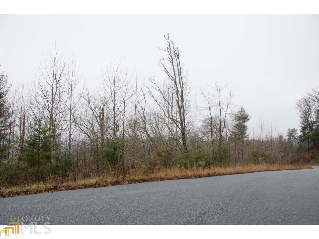 0 Lot 35 Winter Court # 35 Property Photo 17