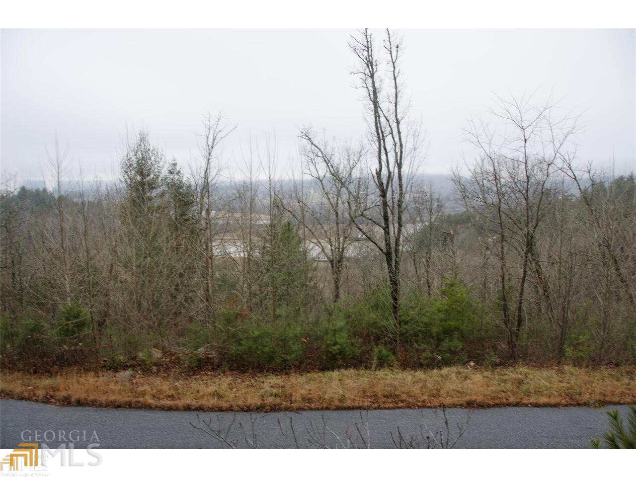 0 Lot 35 Winter Court # 35 Property Photo 18