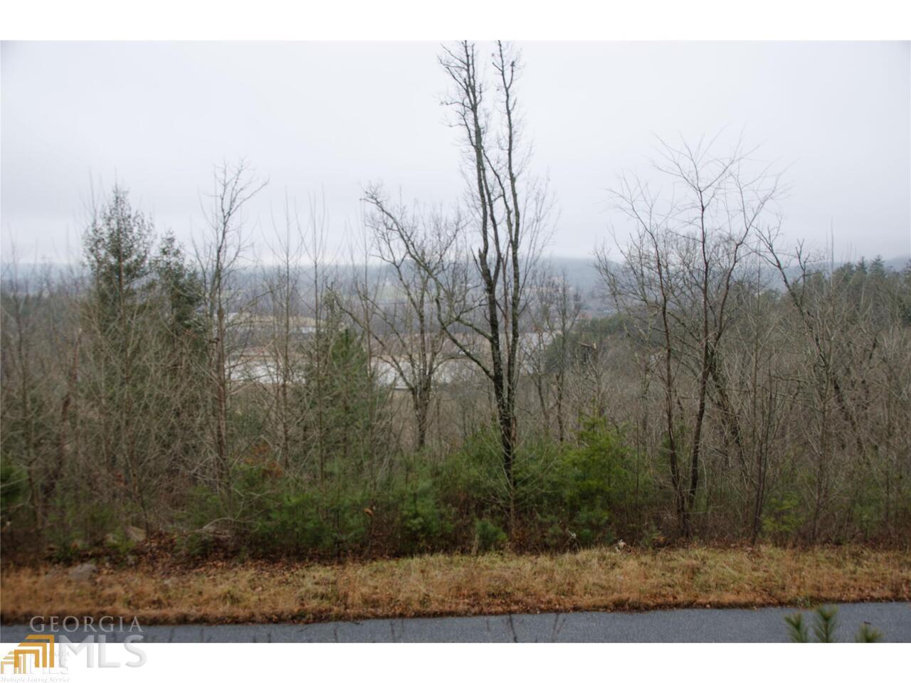 0 Lot 35 Winter Court # 35 Property Photo 19