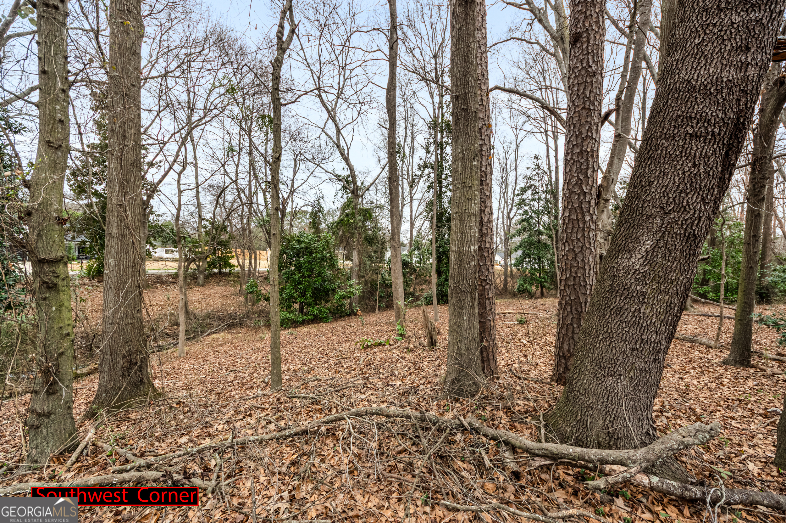 49 Fairview Station Property Photo 4