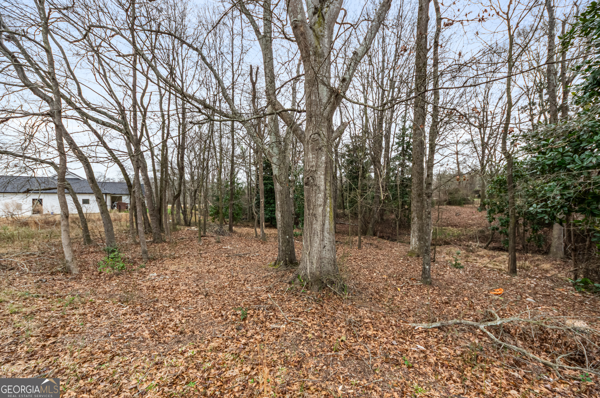 49 Fairview Station Property Photo 6