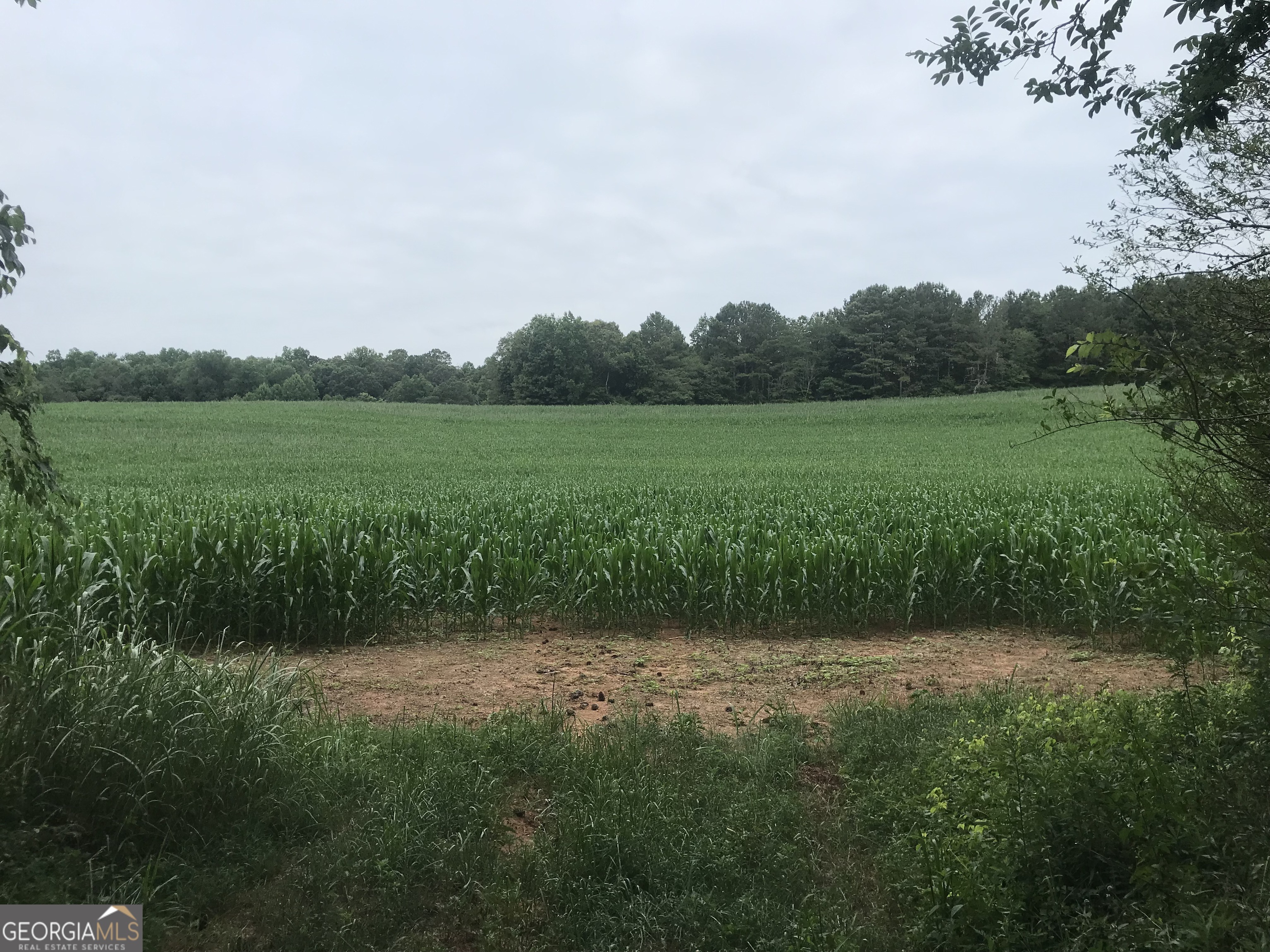 0 Cleveland Hwy Property Photo 3