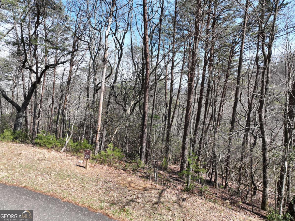 200 Stone Cliff Drive Property Photo 2