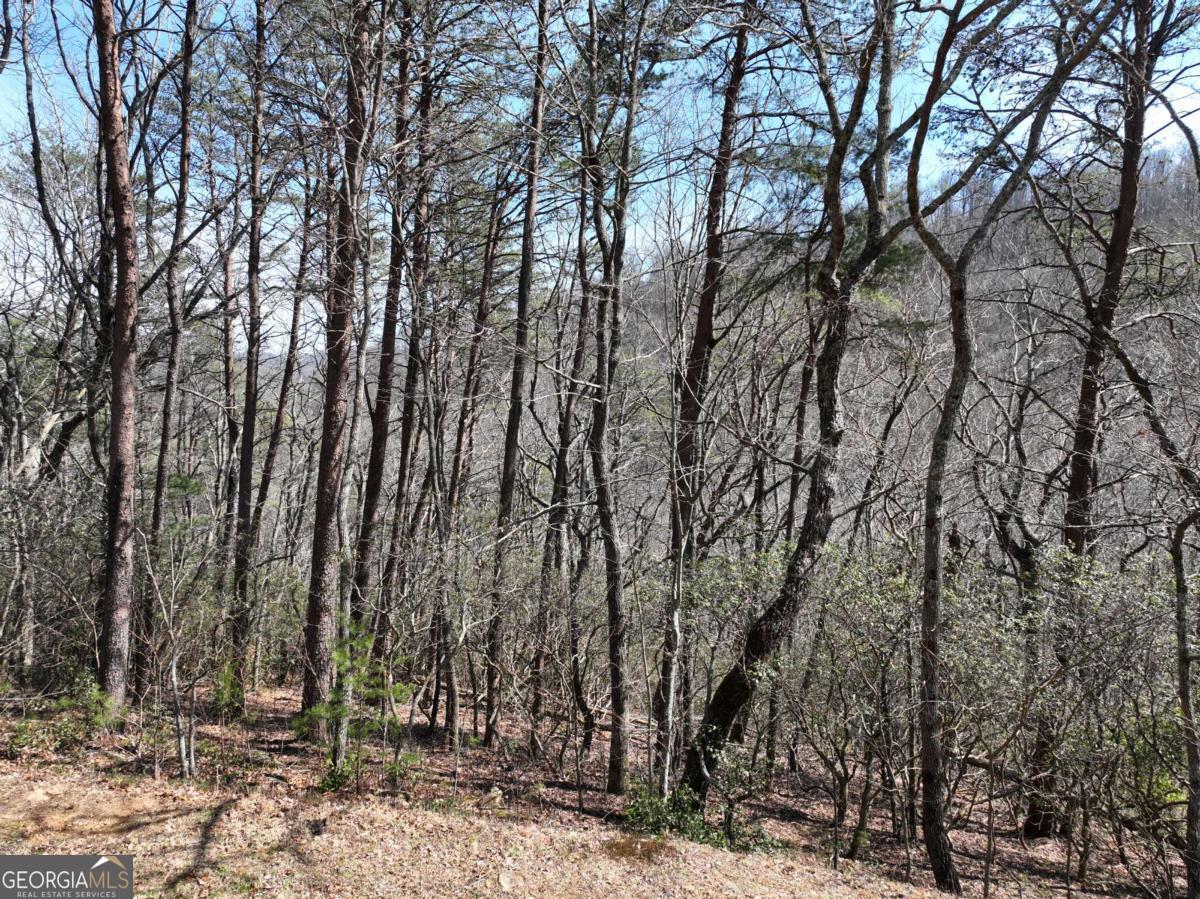 200 Stone Cliff Drive Property Photo 5