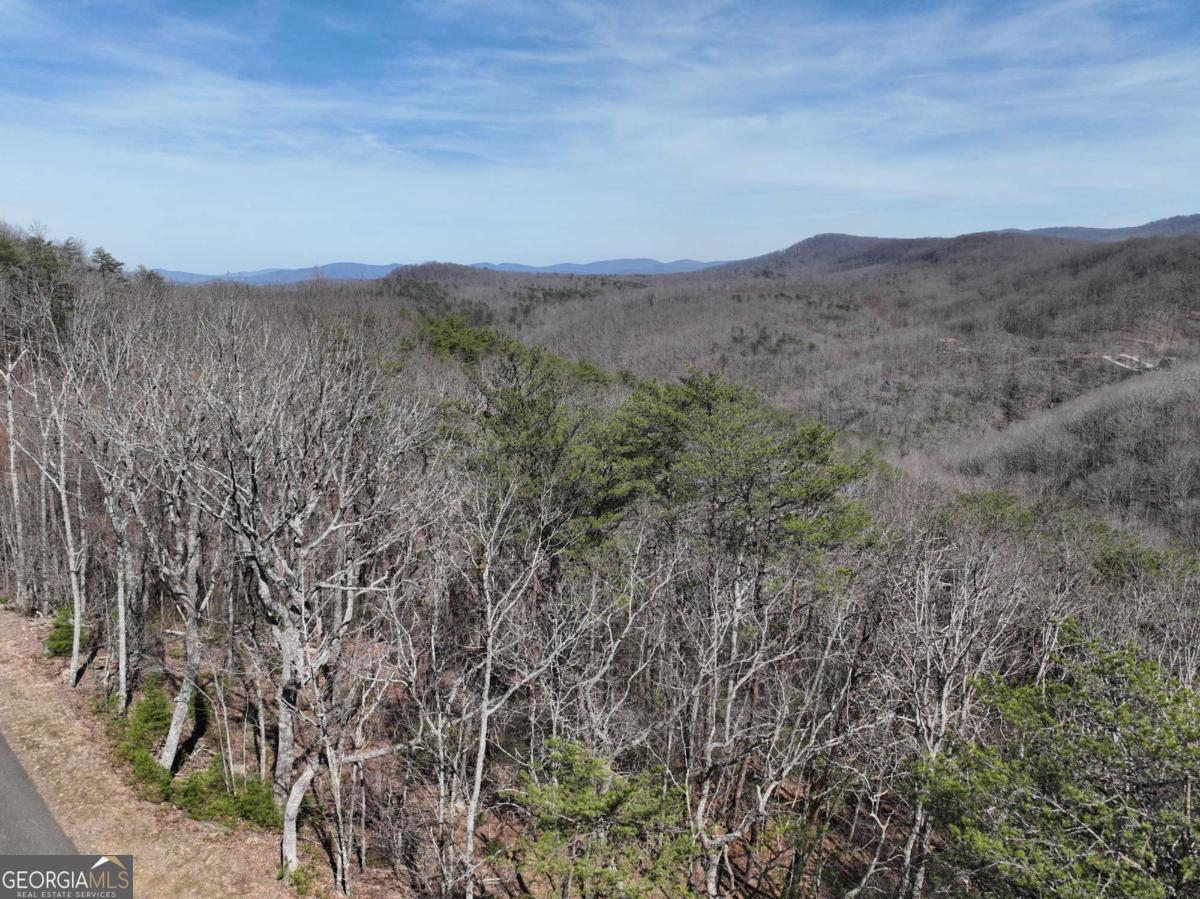 200 Stone Cliff Drive Property Photo 6